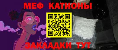 прущие грибы Пушкино