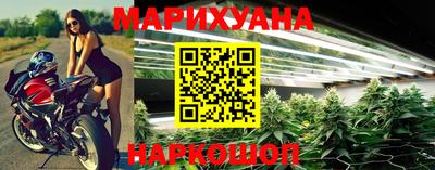 прущие грибы Пушкино