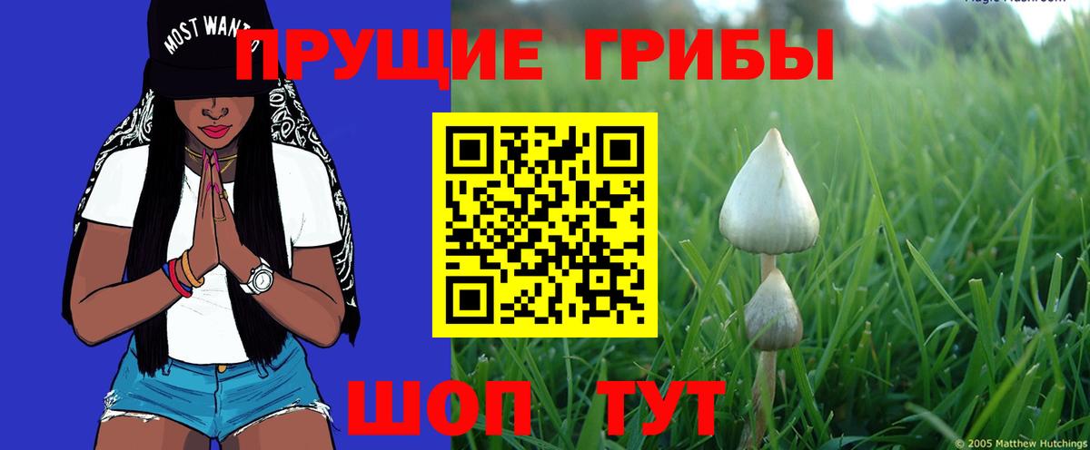 Галлюциногенные грибы Magic Shrooms  Вход с VPN  Сертолово 